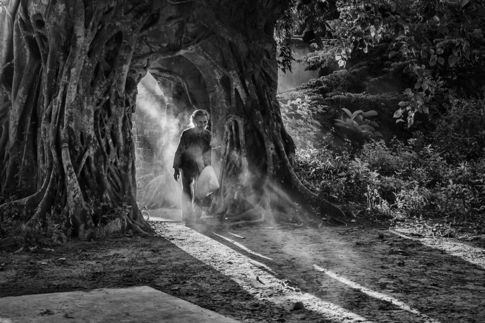 A VIETNAMESE HEROIC MOTHER