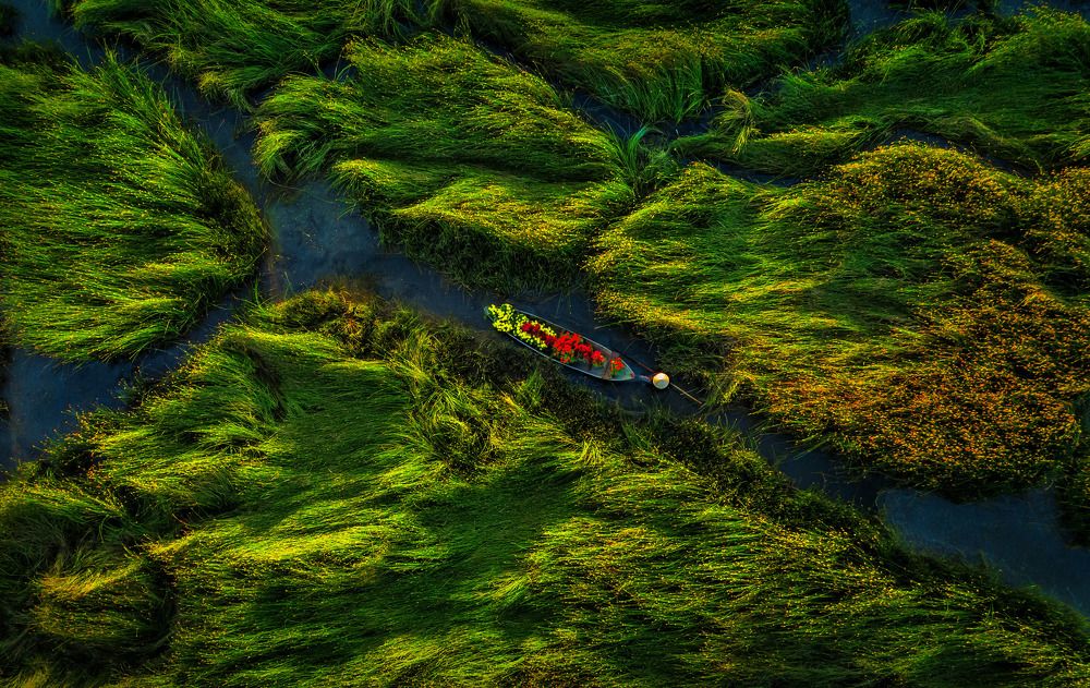 Photograph by Trung Bùi