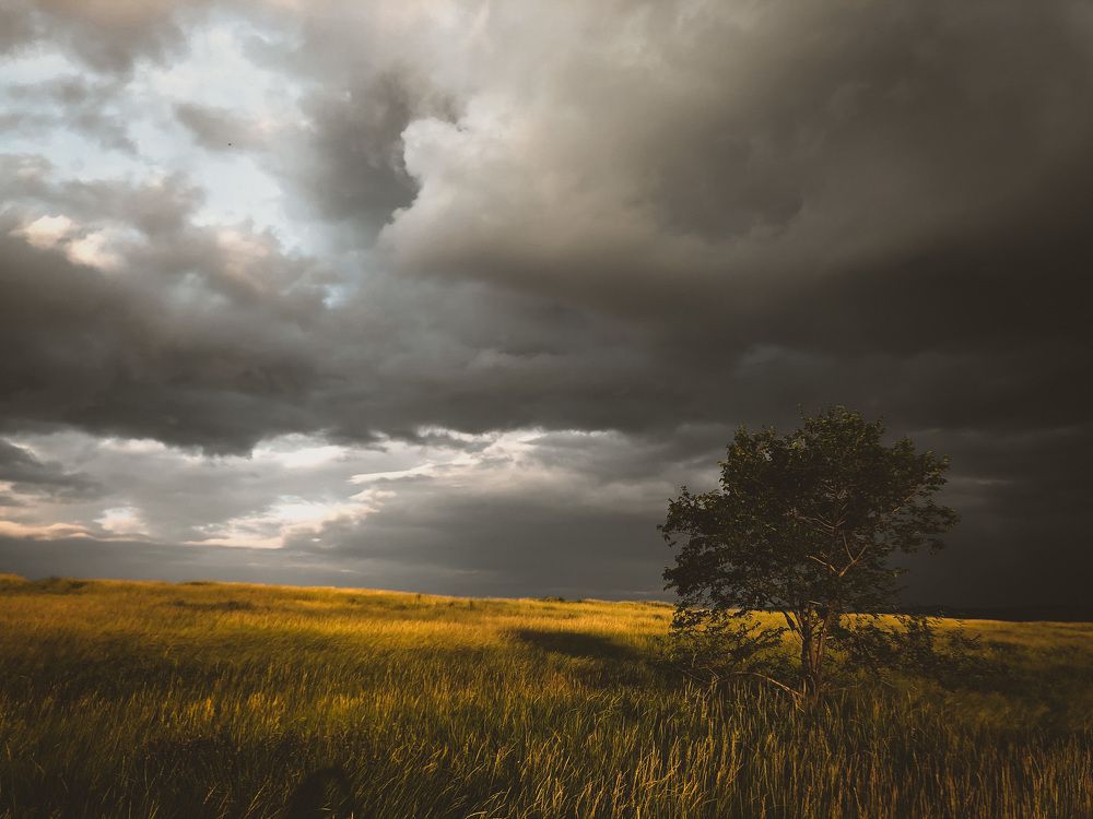 Photograph by Яна Денисова