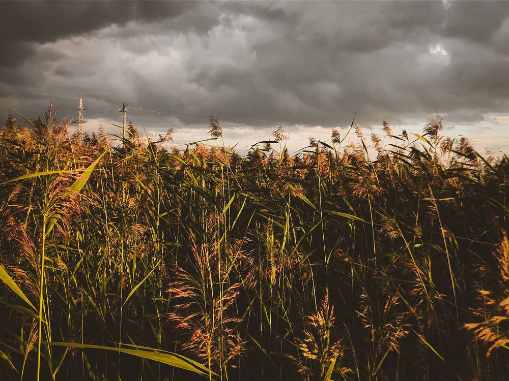 Photograph by Яна Денисова