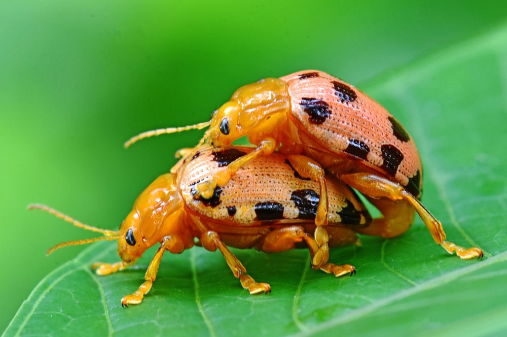 Photograph by CHINMOY BISWAS