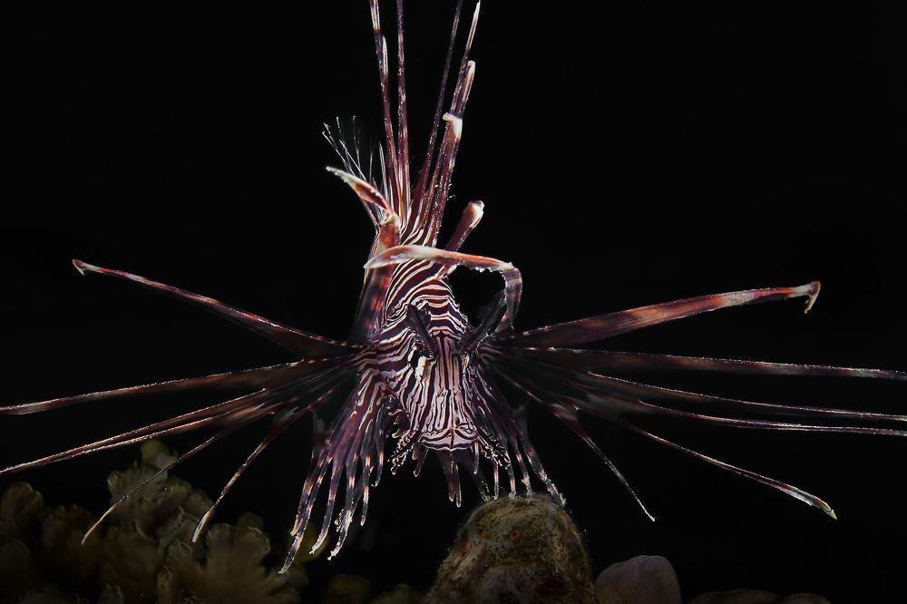 Photograph by Альт Эдуард