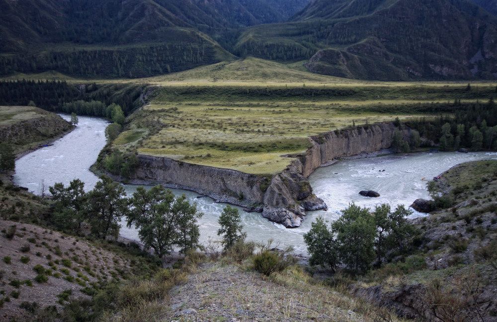 Photograph by Sonata