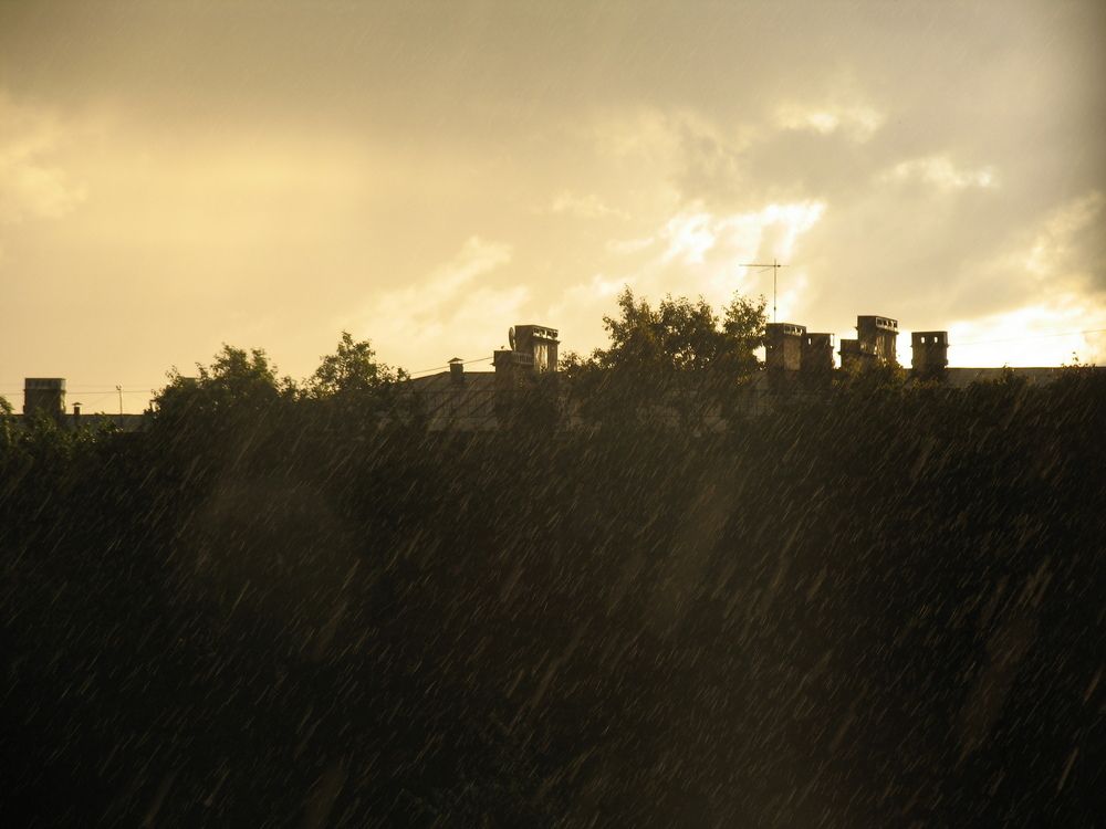 Фотография автора Анастасия Зверева