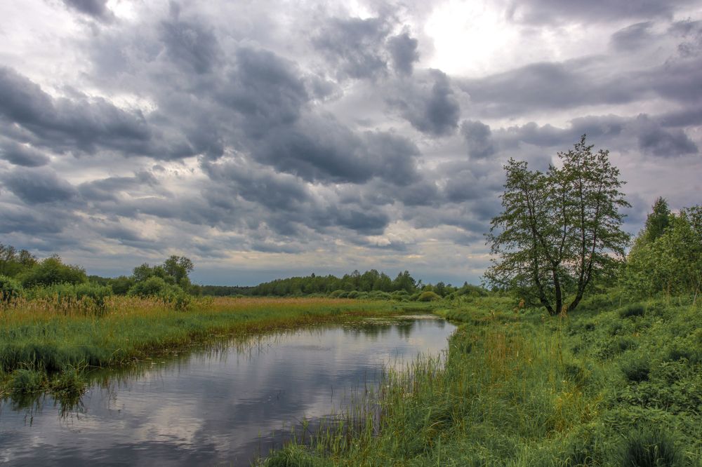 Перед грозой