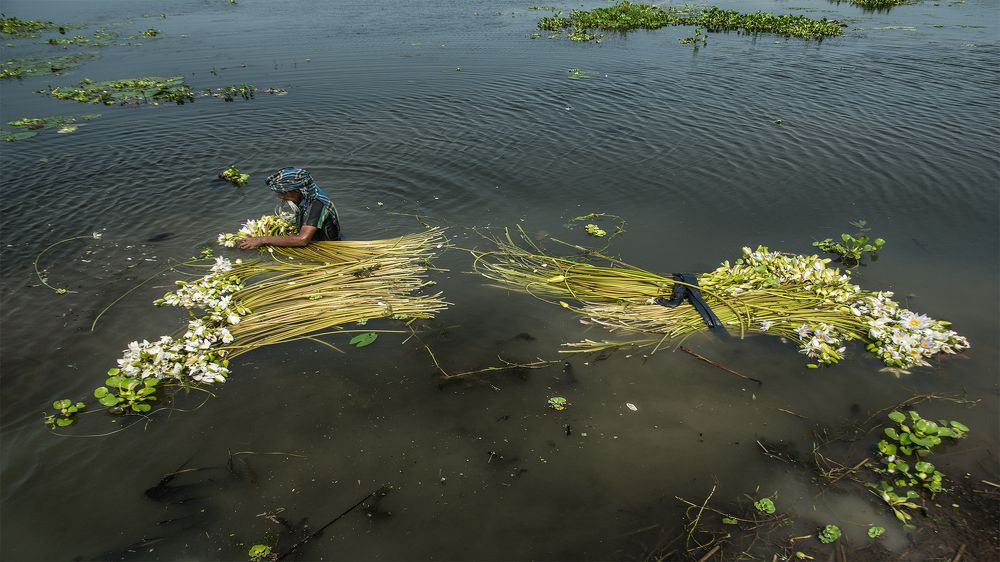 Photograph by Pankaj Dutta