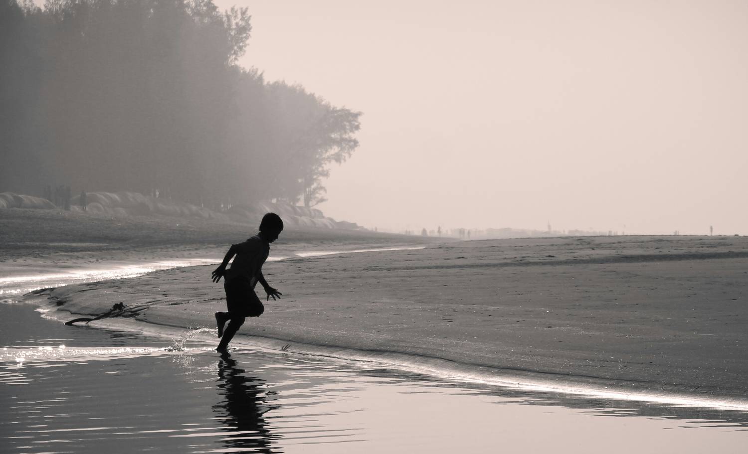 Photo #6340517