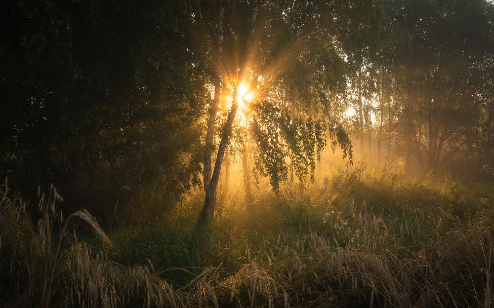 Одним летним утром