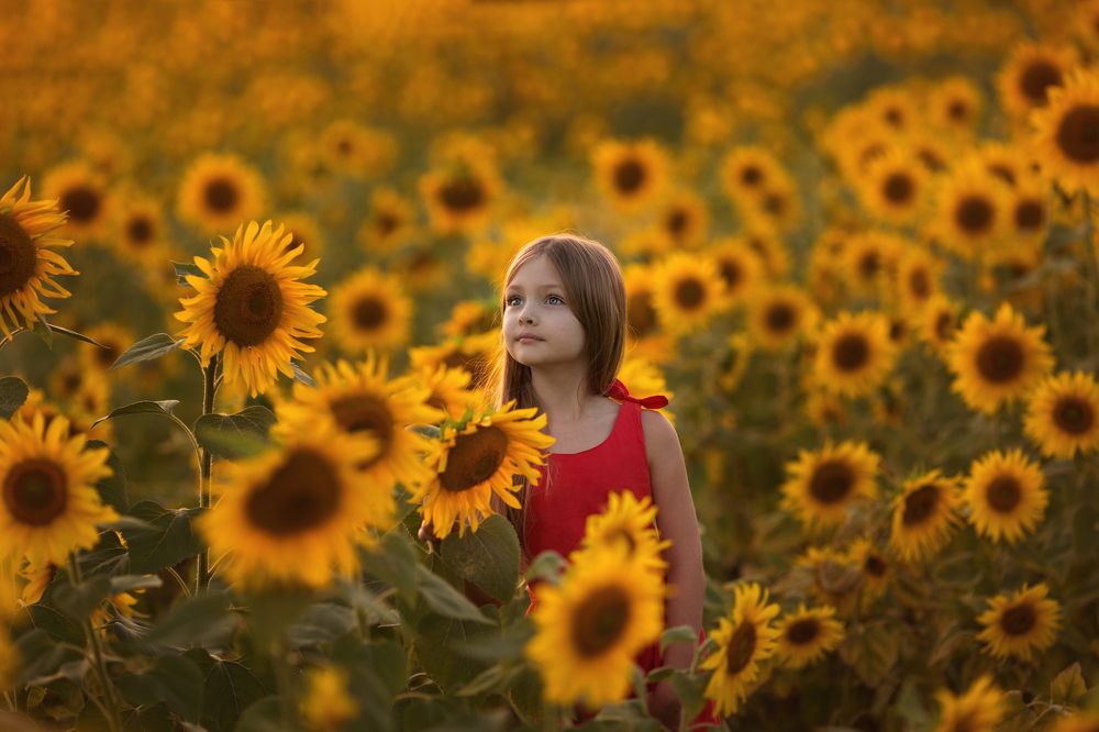 Photograph by Марина Сорокина