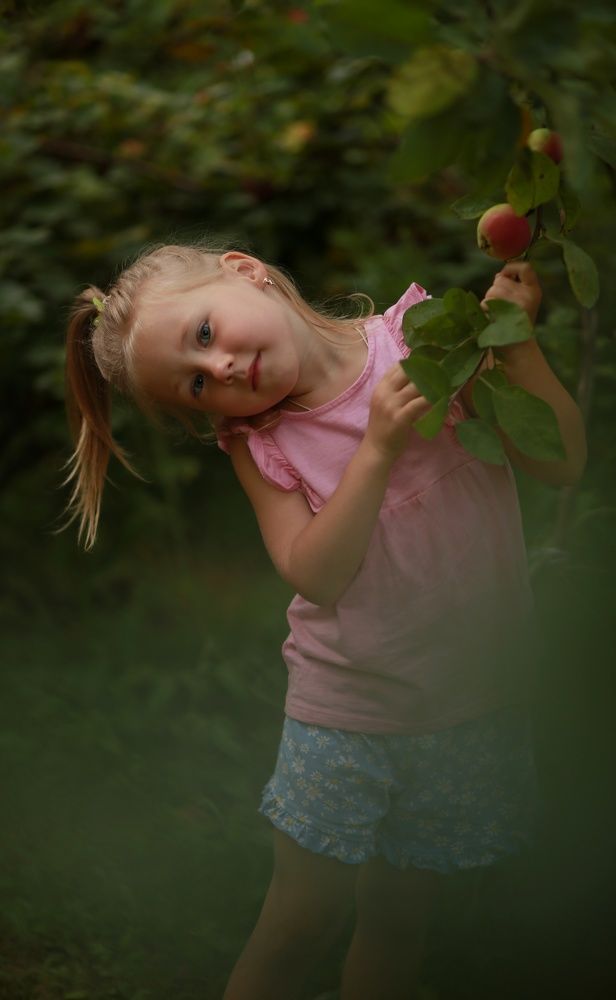 Яблоневый сад