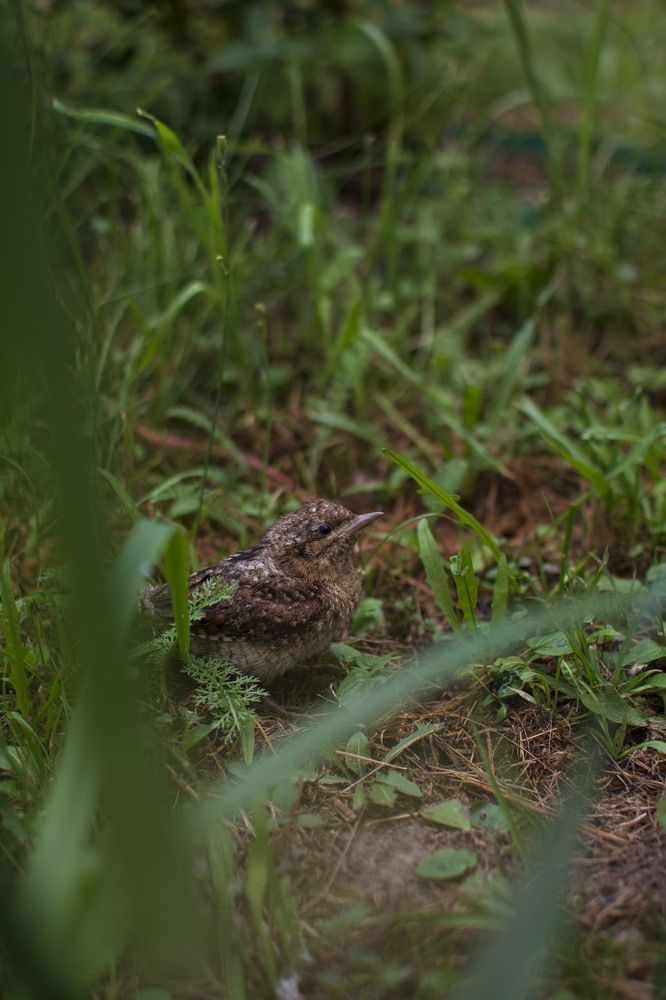 Photograph by Мария Мальцева