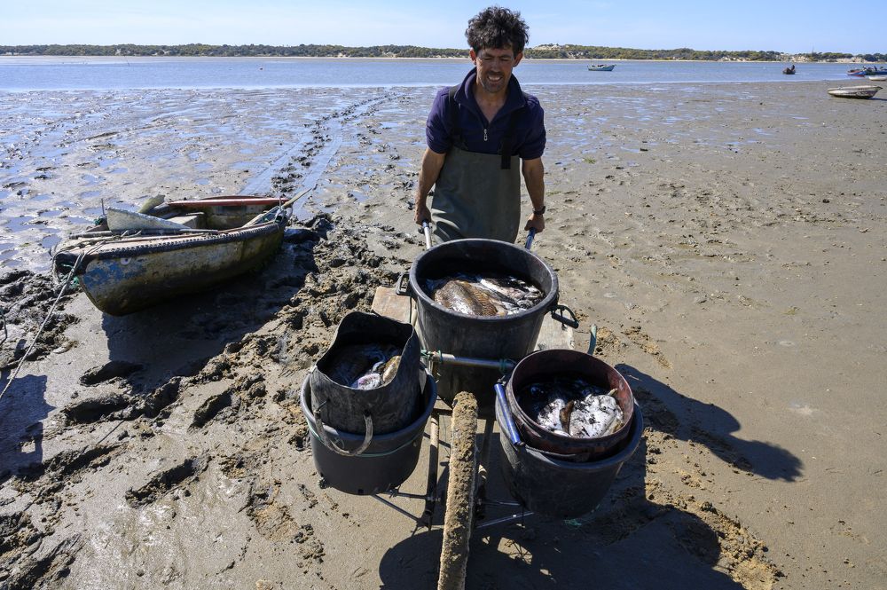 Passion and pain at artisanal fishing