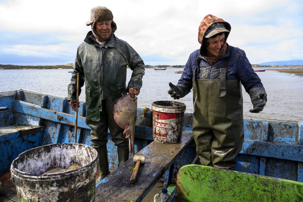 Passion and pain at artisanal fishing