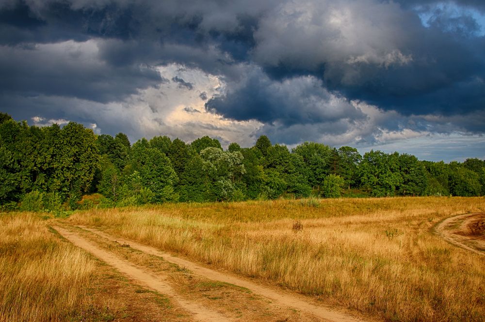 Photograph by Алексей Федулов