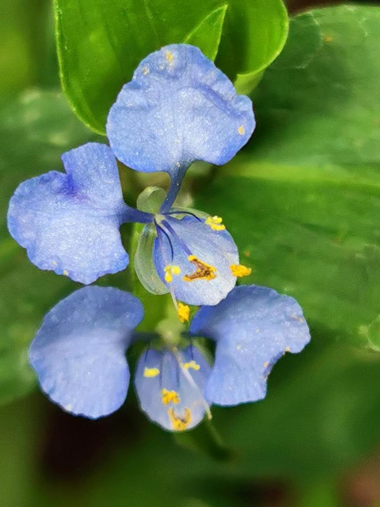 Photograph by Virginia Azocar Contreras