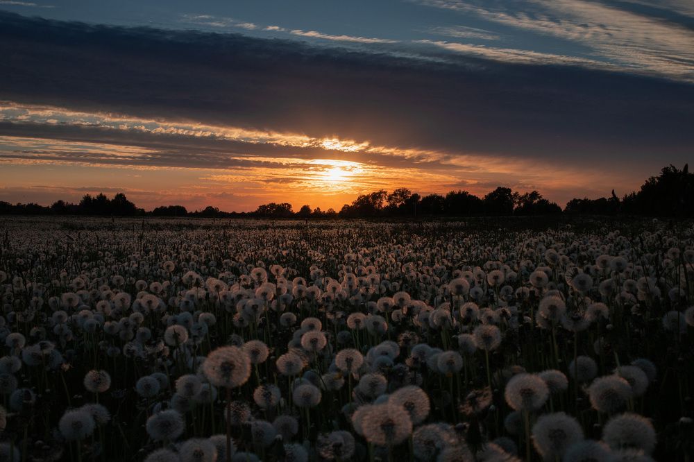 Photograph by Елена Герасимова