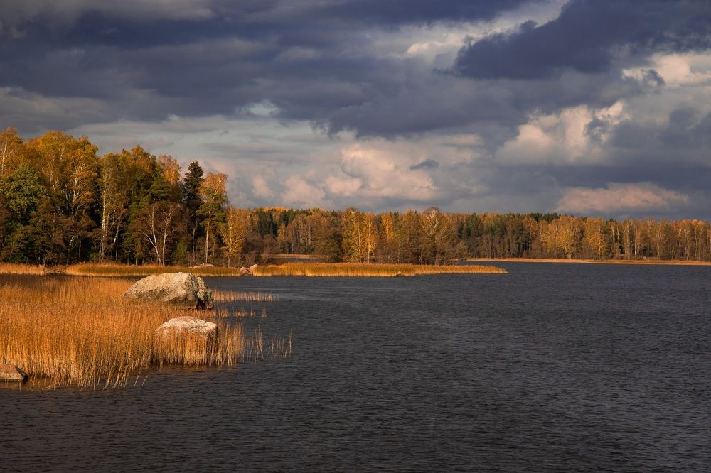 Photograph by Елена Герасимова