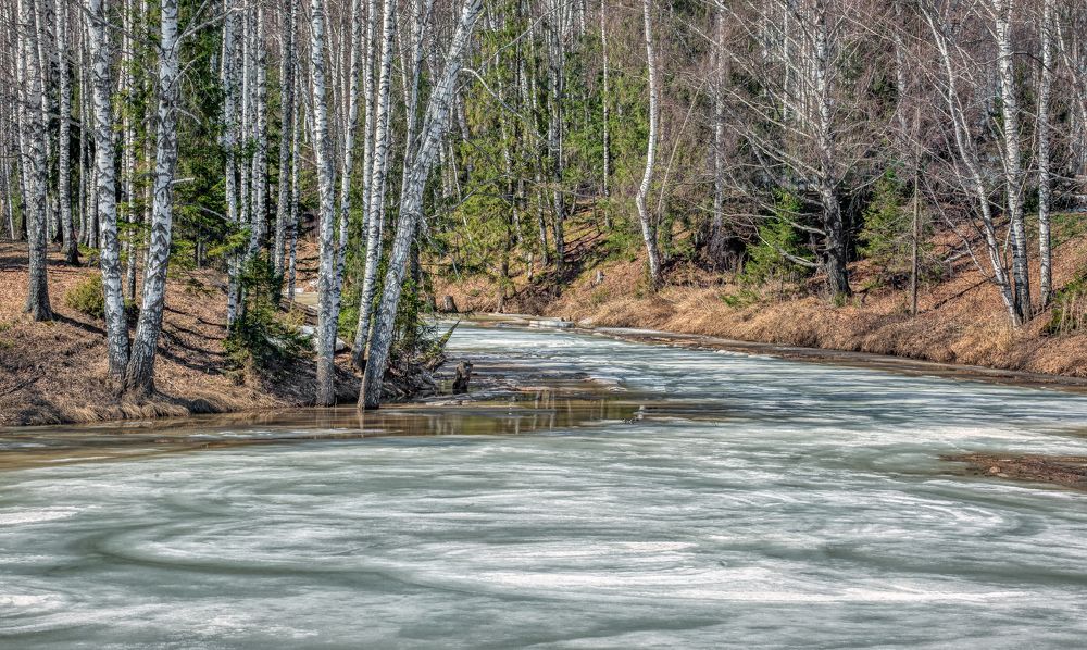 Фотография автора Александр Сальников