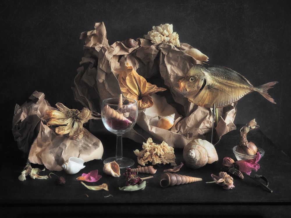 Фотография автора Vera Eremeeva