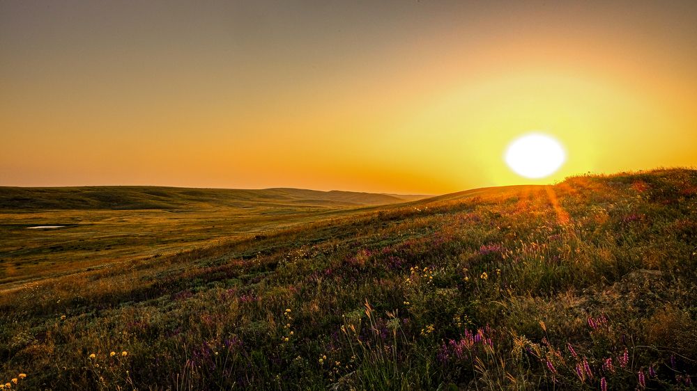 Photograph by Александр Елизаров