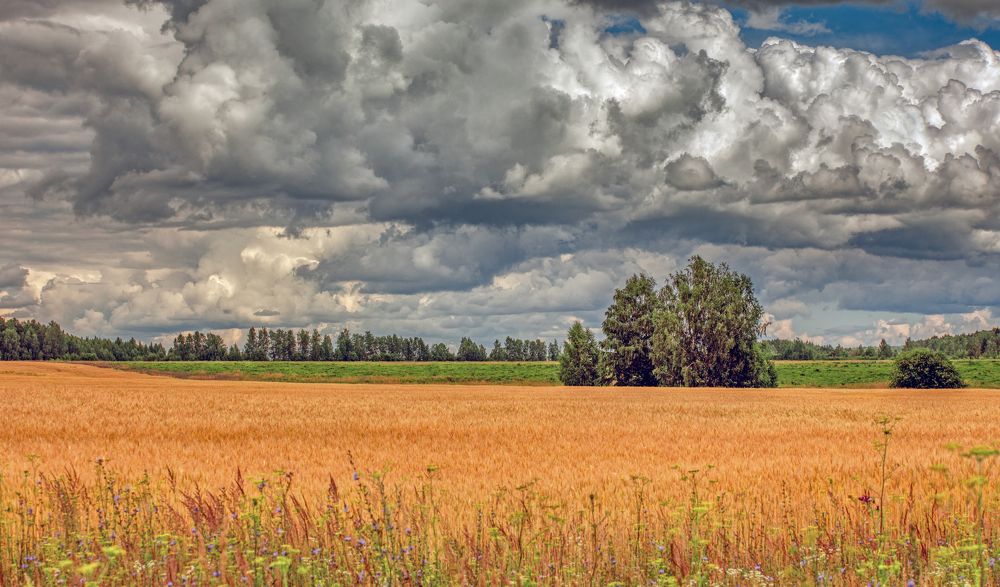 Фотография автора Александр Сальников