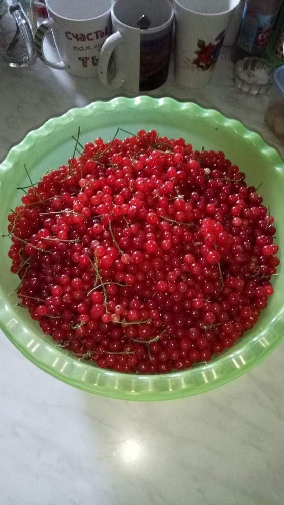 Photograph by Рустем Ганиев