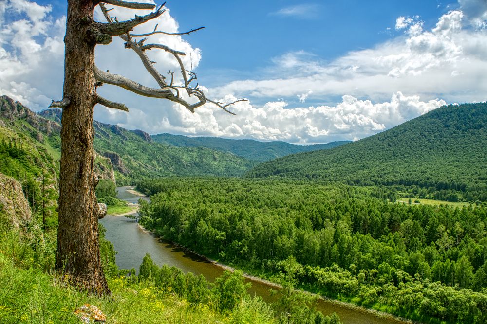 Photograph by Александр Пургин