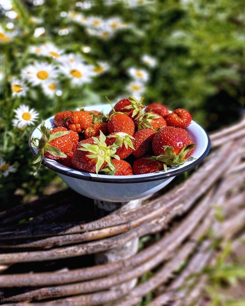 Photograph by Люда Яковлева