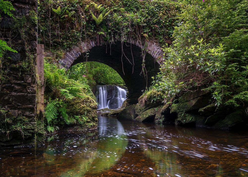 Photograph by Anatoly Chomko