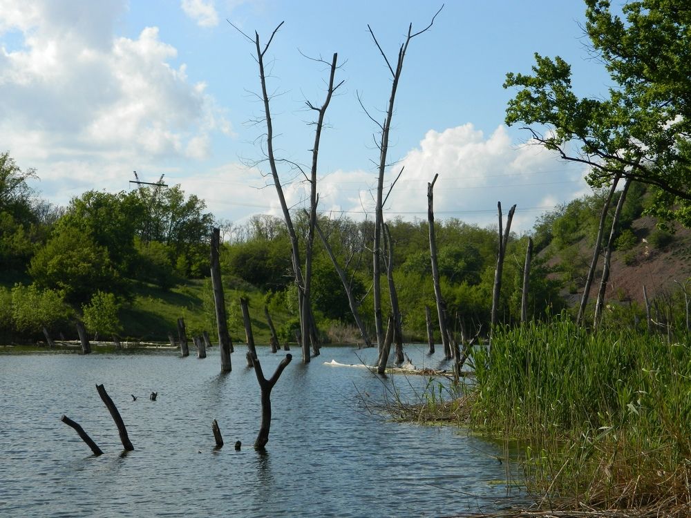 Photograph by Яна Сенчилина