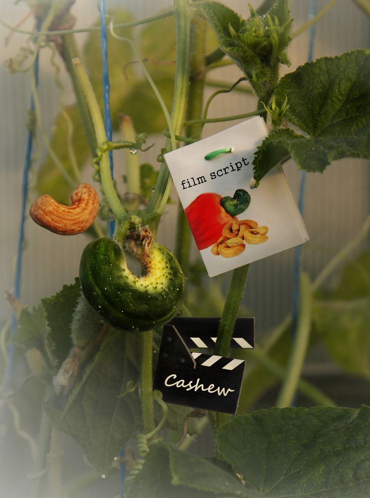 Кастинг на роль кешью