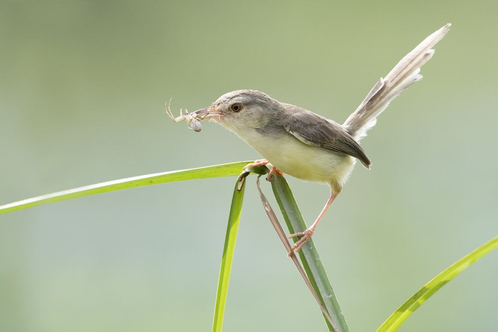 Photograph by Vân Chi