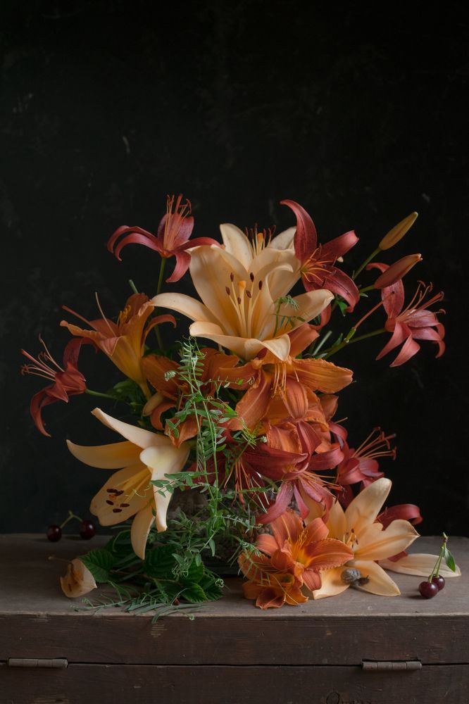 Фотография автора Светлана Бобошина