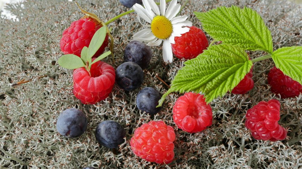 Дары природы