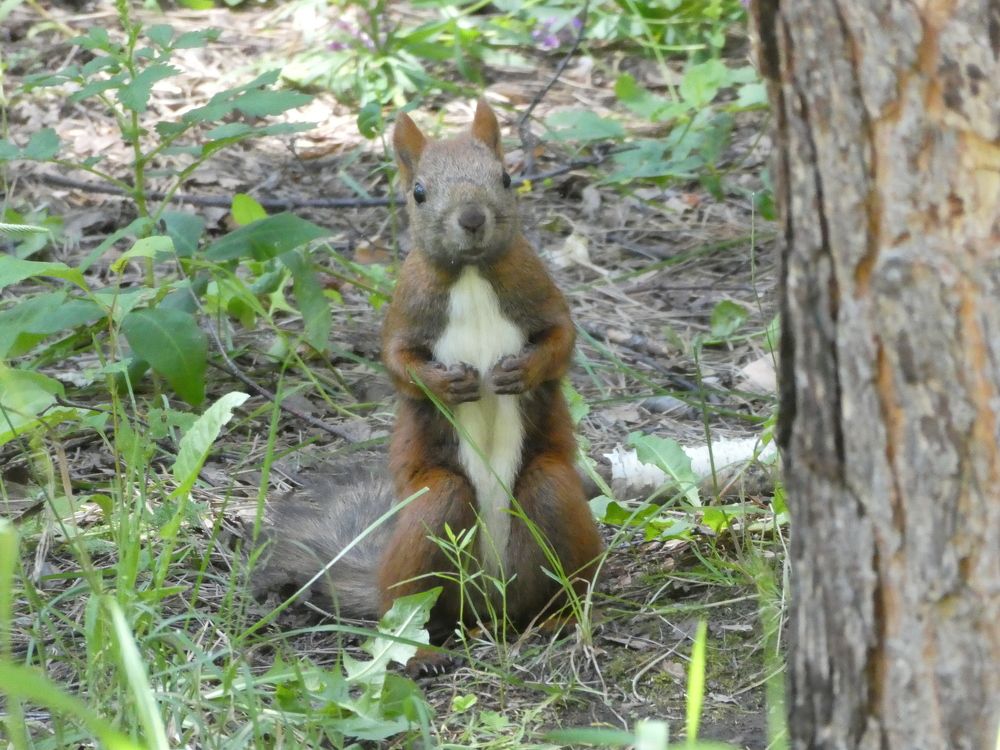 Photograph by Андрей Садчиков