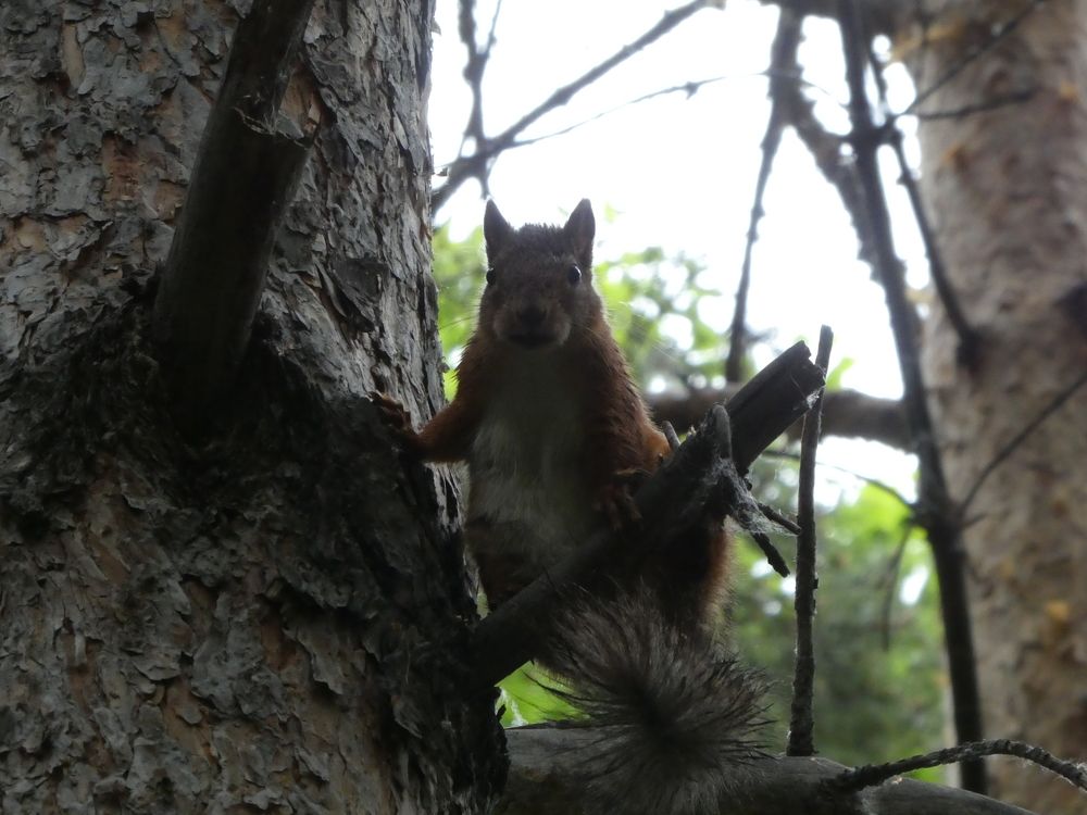 Photograph by Андрей Садчиков