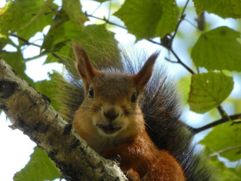 Photograph by Андрей Садчиков