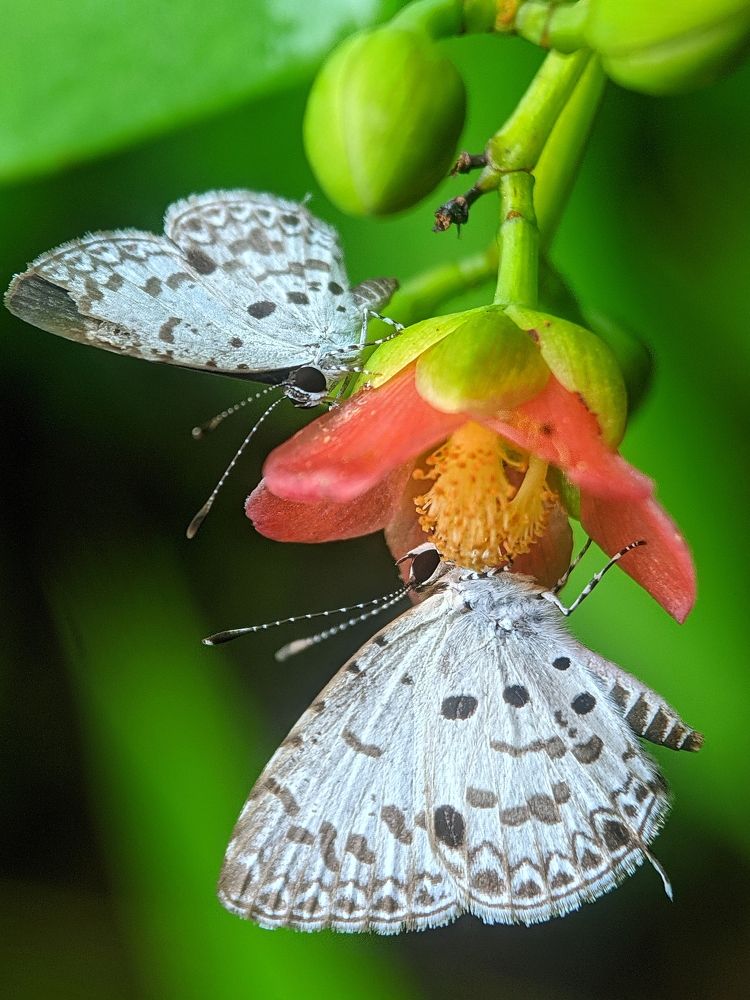 Photograph by Shipon Mostafa