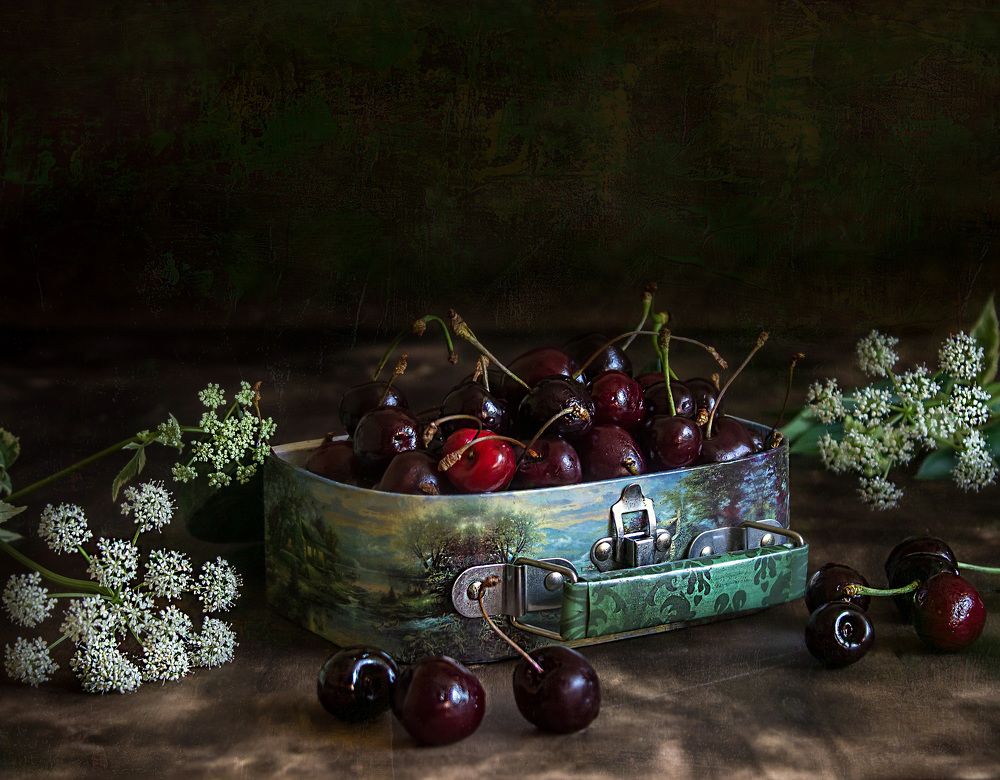 Фотография автора Наталья Соболь