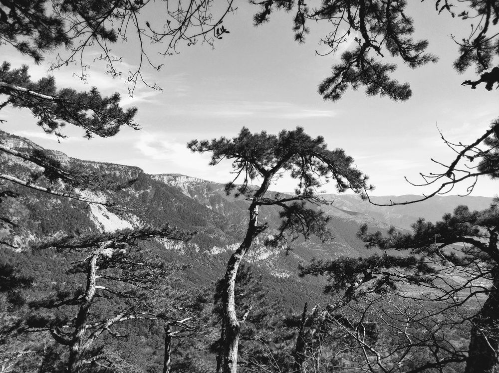 Photograph by Николай Ковальчук