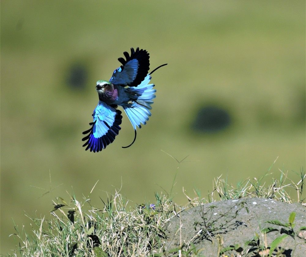 Photograph by Jimmy Cherian