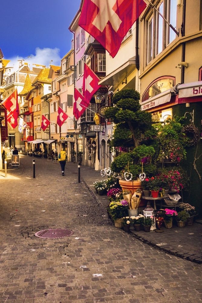 Фотография автора Bagheri rad Elaheh