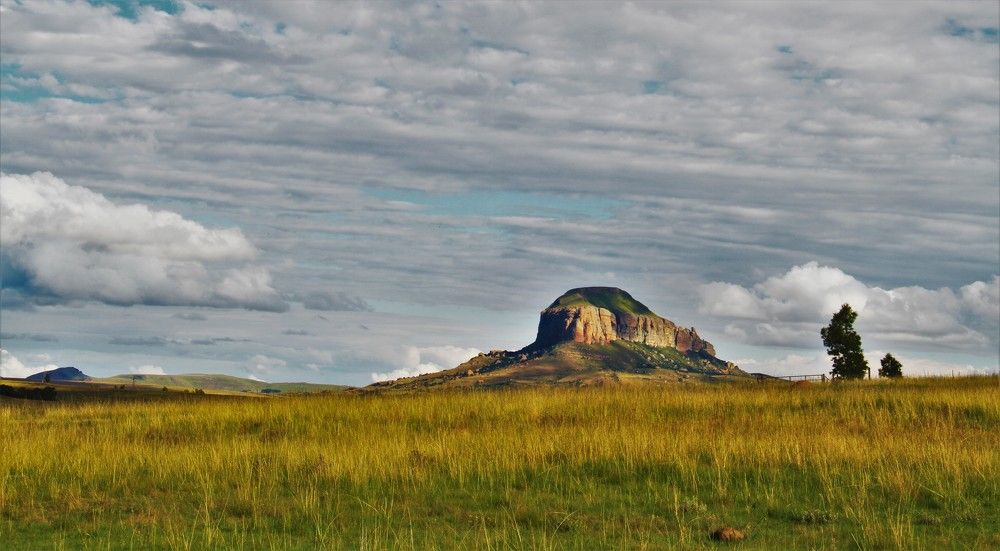 Photograph by Esmaeil Razaghi