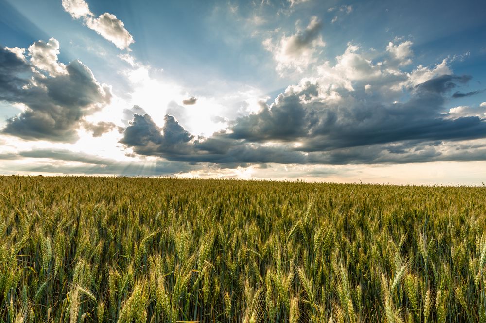 Photograph by Александр Кузнецов