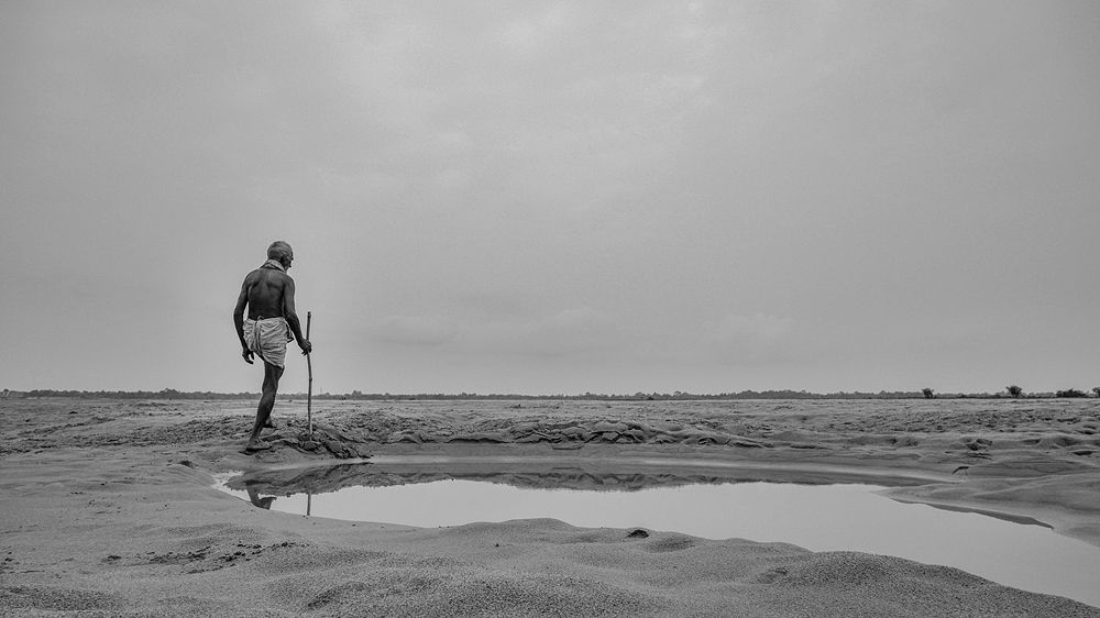 Photo #6342233