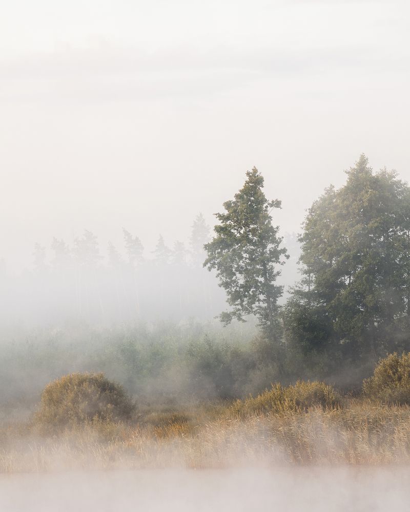 Photograph by Aliaksei Shandalin