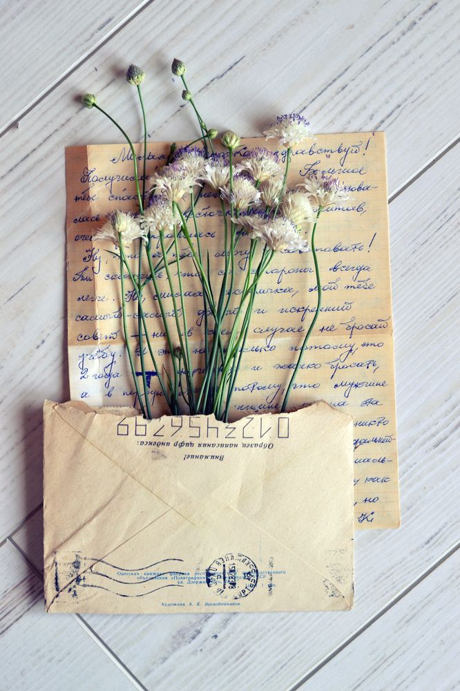 Photograph by Анна Милёшина