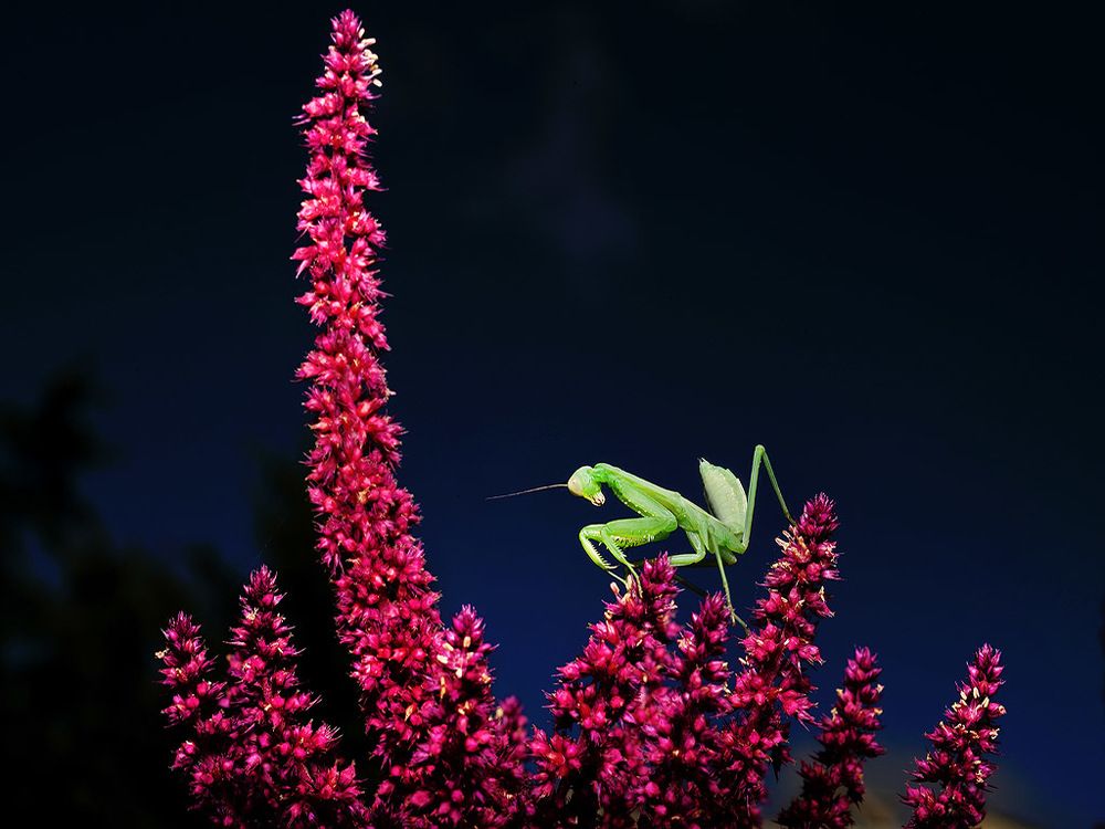 Photograph by Bekir Yesiltas