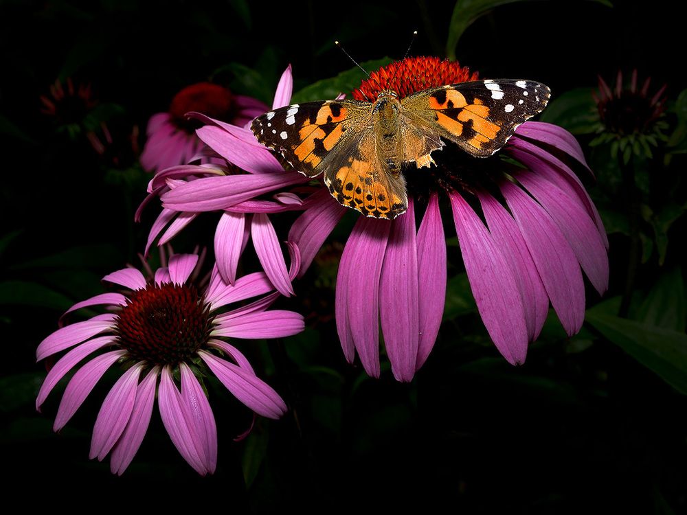 Photograph by Bekir Yesiltas