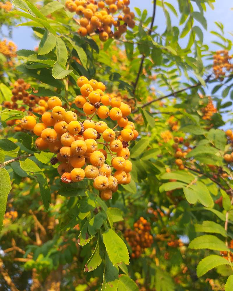 Photograph by Iljana Luksa